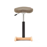 Chair for Lower Back Pain Prevention|balans Synergy balans lab