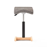 Chair for Lower Back Pain Prevention|balans Synergy balans lab