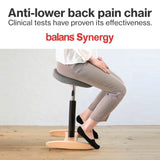 Chair for Lower Back Pain Prevention|balans Synergy balans lab