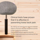 Chair for Lower Back Pain Prevention|balans Synergy balans lab