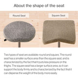 Chair for Lower Back Pain Prevention|balans Synergy balans lab