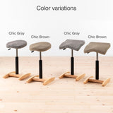 Chair for Lower Back Pain Prevention|balans Synergy balans lab