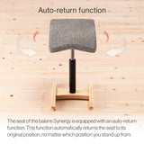 Chair for Lower Back Pain Prevention|balans Synergy balans lab