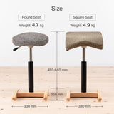 Chair for Lower Back Pain Prevention|balans Synergy balans lab