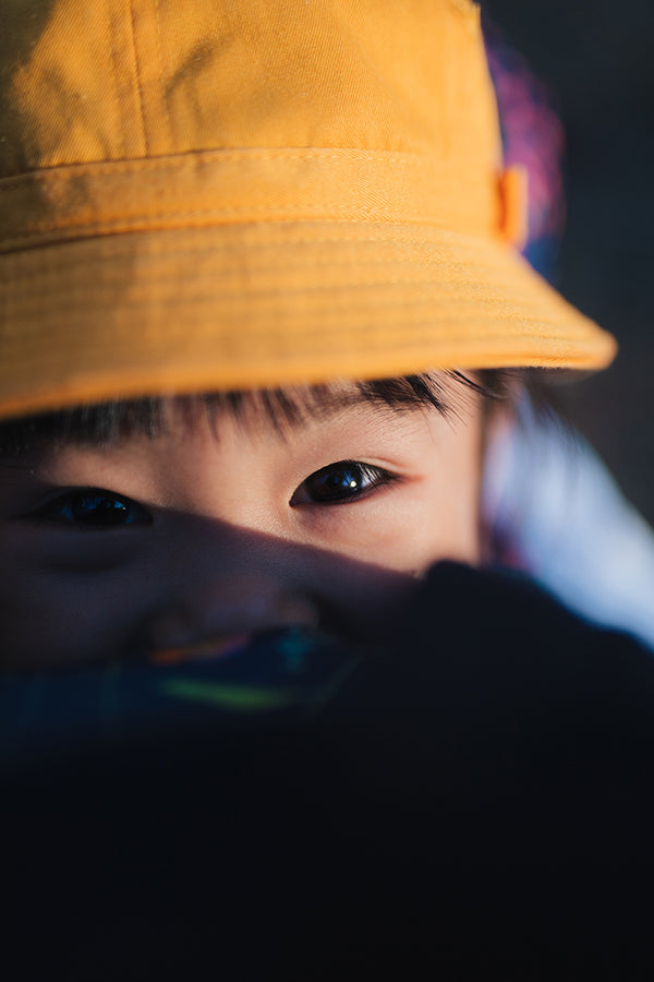 特選『俯瞰写真』