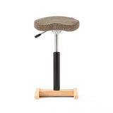 Chair for Lower Back Pain Prevention|balans Synergy balans lab