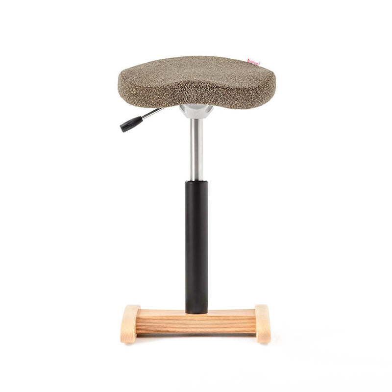 Chair for Lower Back Pain Prevention|balans Synergy balans lab