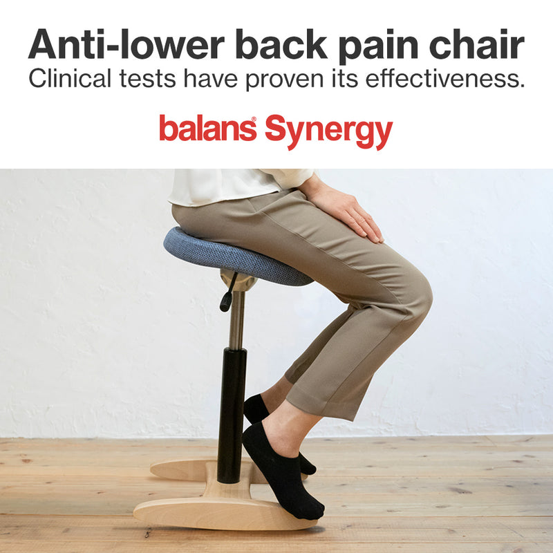 Chair for Lower Back Pain Prevention|balans Synergy balans lab