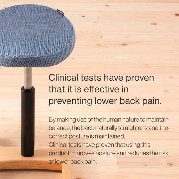 Chair for Lower Back Pain Prevention|balans Synergy balans lab