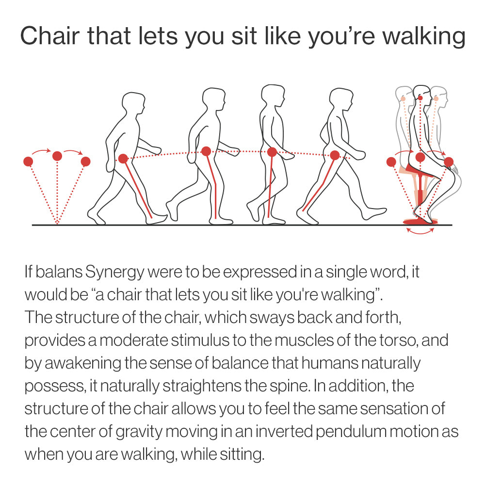 Chair for Lower Back Pain Prevention|balans Synergy balans lab