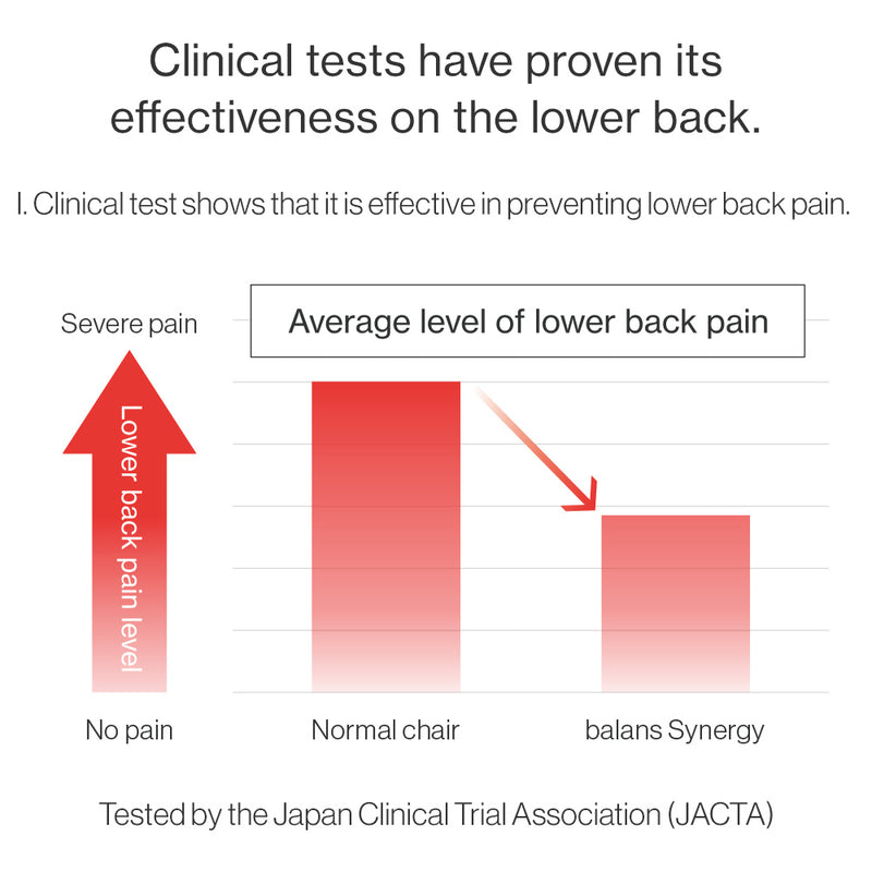 Chair for Lower Back Pain Prevention|balans Synergy balans lab