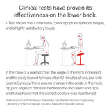 Chair for Lower Back Pain Prevention|balans Synergy balans lab