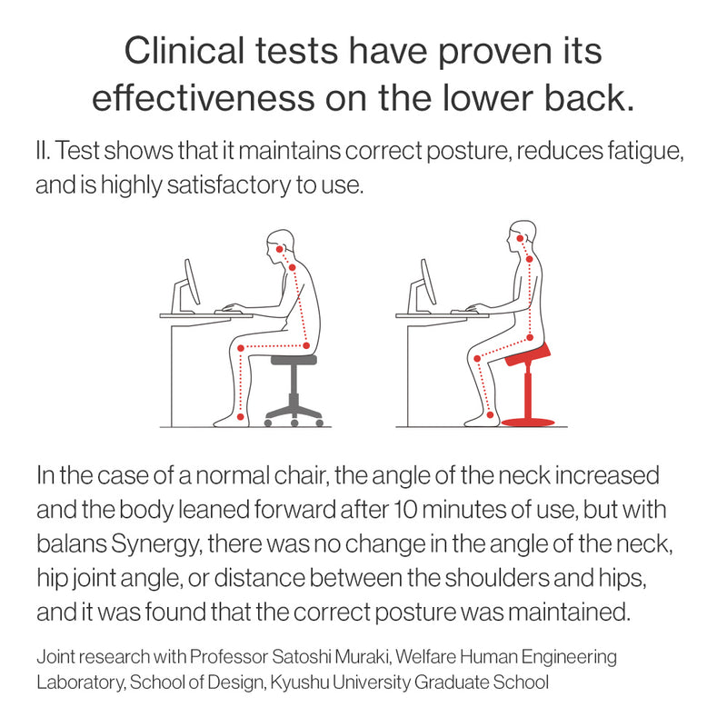 Chair for Lower Back Pain Prevention|balans Synergy balans lab