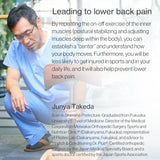 Chair for Lower Back Pain Prevention|balans Synergy balans lab