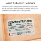 Chair for Lower Back Pain Prevention|balans Synergy balans lab