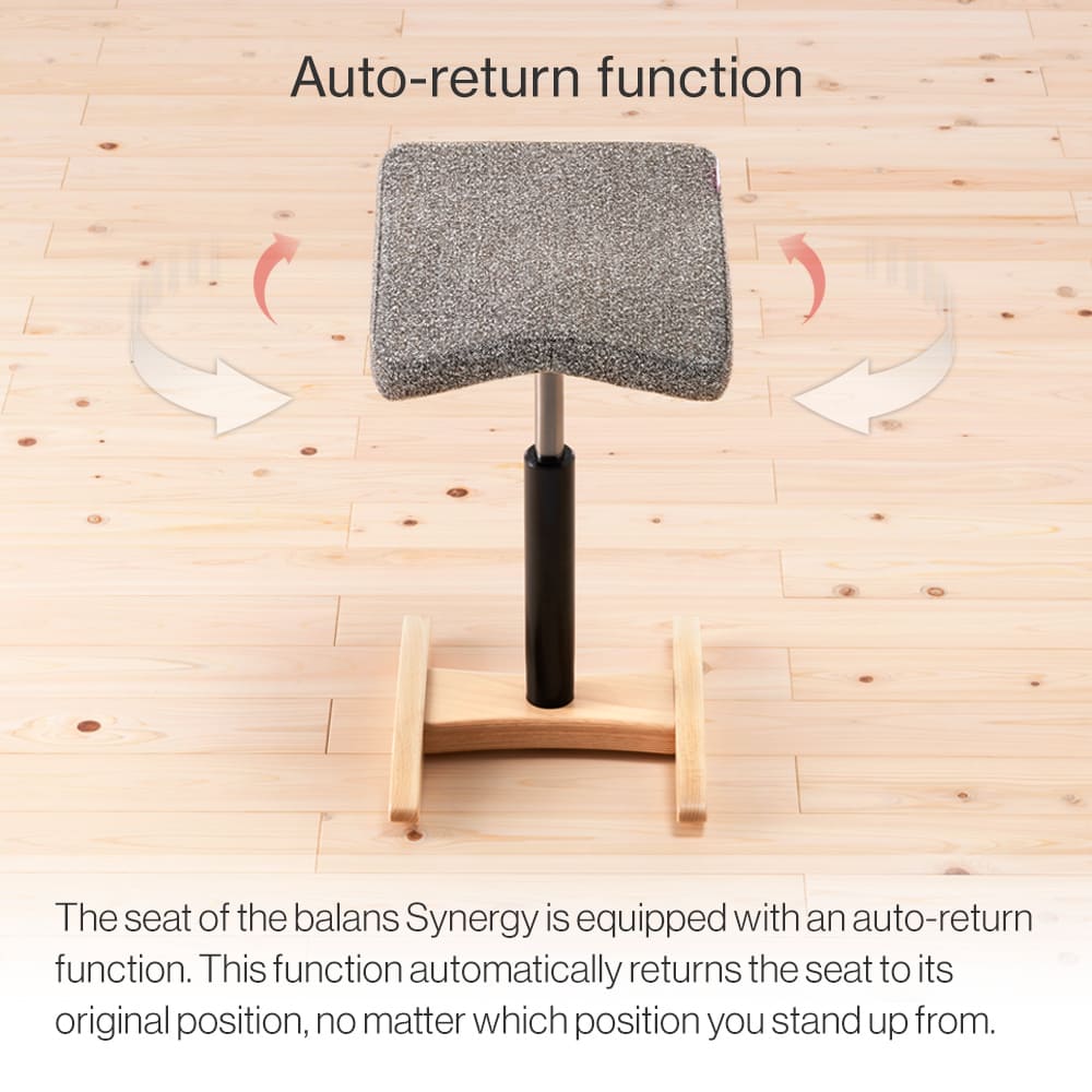 Chair for Lower Back Pain Prevention|balans Synergy balans lab